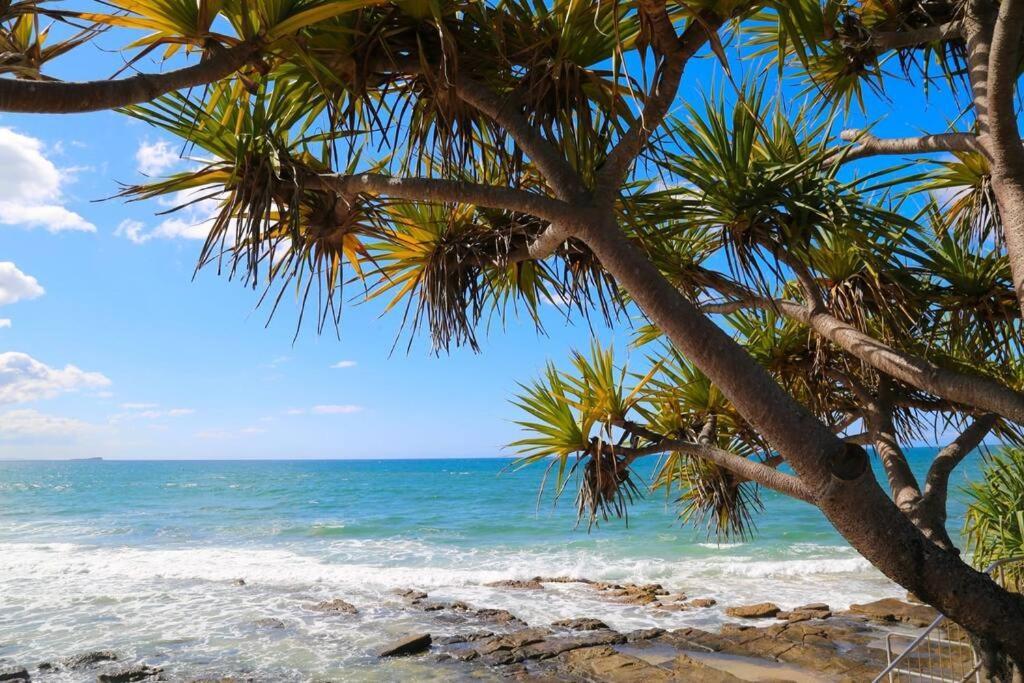 Alex Heads Beachfront Resort King Bed Studio Room Alexandra Headland Exterior foto